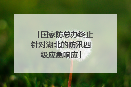 国家防总办终止针对湖北的防汛四级应急响应