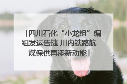 四川石化“小龙组”编组发运告捷 川内铁路航煤保供再添新动能