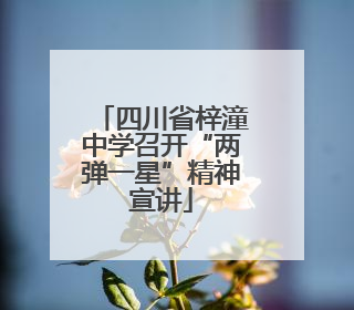 四川省梓潼中学召开“两弹一星”精神宣讲