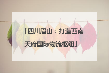四川眉山：打造西南天府国际物流枢纽