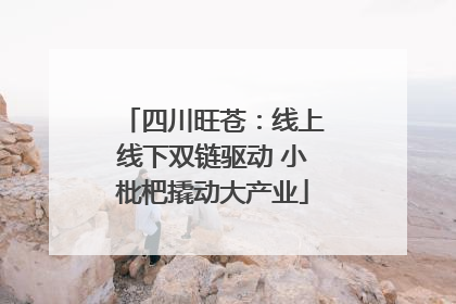 四川旺苍：线上线下双链驱动 小枇杷撬动大产业