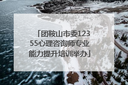 团鞍山市委12355心理咨询师专业能力提升培训举办