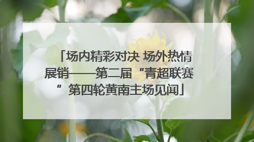 场内精彩对决 场外热情展销——第二届“青超联赛”第四轮黄南主场见闻
