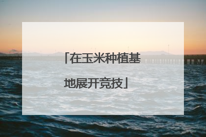 在玉米种植基地展开竞技