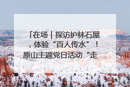 在场｜探访护林石屋，体验“百人传水”！原山主题党日活动“走新”更“走心”