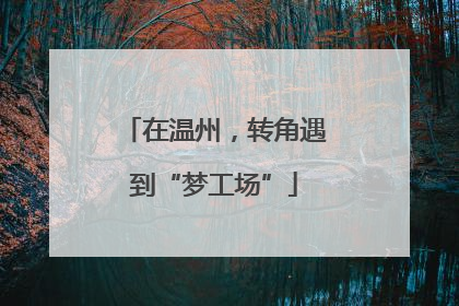 在温州，转角遇到“梦工场”