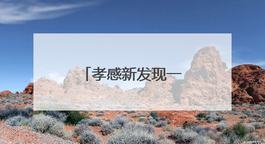 孝感新发现一座清代古桥！