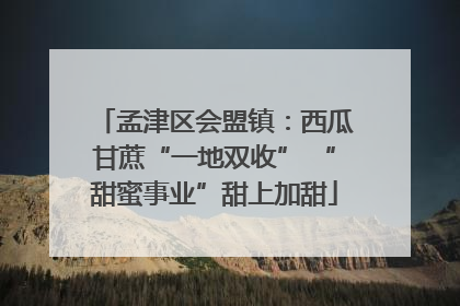 孟津区会盟镇：西瓜甘蔗“一地双收” “甜蜜事业”甜上加甜