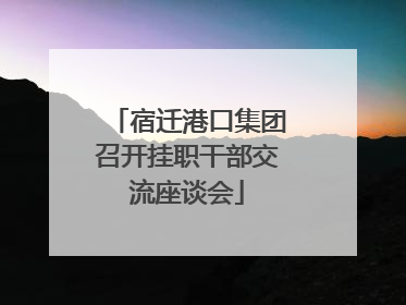 宿迁港口集团召开挂职干部交流座谈会