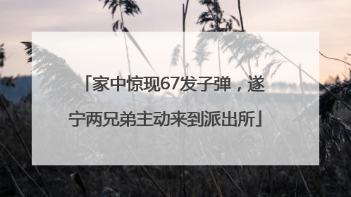 家中惊现67发子弹，遂宁两兄弟主动来到派出所