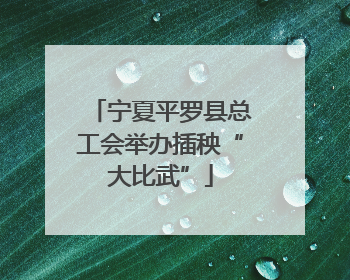 宁夏平罗县总工会举办插秧“大比武”