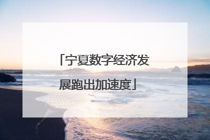 宁夏数字经济发展跑出加速度
