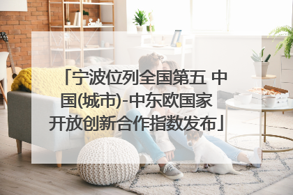 宁波位列全国第五 中国(城市)-中东欧国家开放创新合作指数发布