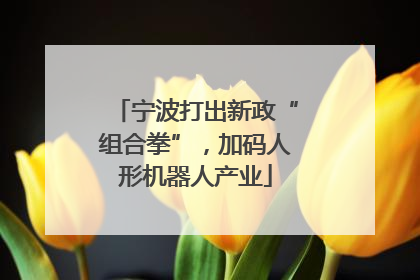 宁波打出新政“组合拳”，加码人形机器人产业