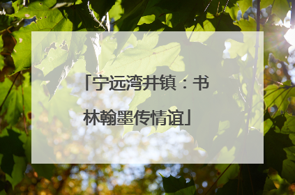 宁远湾井镇：书林翰墨传情谊