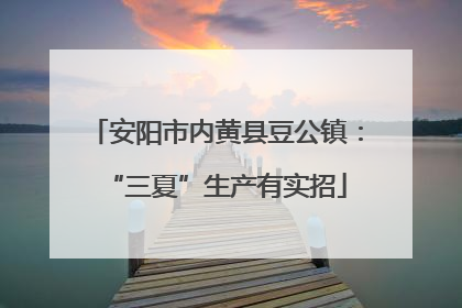 安阳市内黄县豆公镇：“三夏”生产有实招