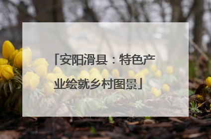 安阳滑县：特色产业绘就乡村图景