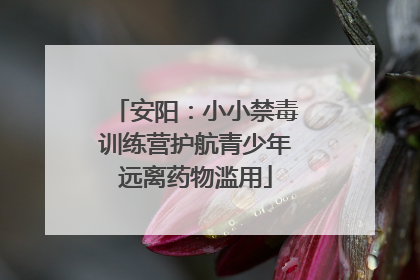 安阳：小小禁毒训练营护航青少年远离药物滥用