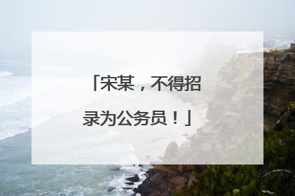 宋某，不得招录为公务员！