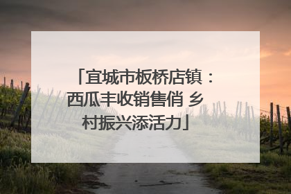宜城市板桥店镇：西瓜丰收销售俏 乡村振兴添活力