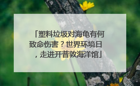 塑料垃圾对海龟有何致命伤害？世界环境日，走进开普敦海洋馆