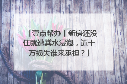壹点帮办丨新房还没住就遭粪水浸泡，近十万损失谁来承担？