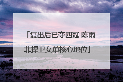 复出后已夺四冠 陈雨菲捍卫女单核心地位
