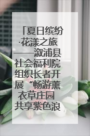 夏日缤纷·花漾之旅——溆浦县社会福利院组织长者开展“畅游薰衣草庄园 共享紫色浪漫”户外活动