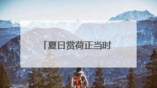 夏日赏荷正当时 茶亭公园展出近200种精品荷花