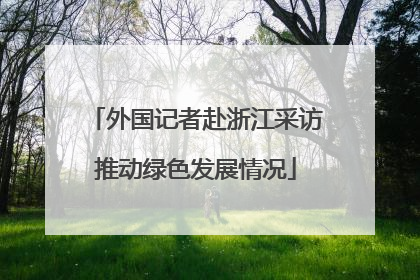 外国记者赴浙江采访推动绿色发展情况