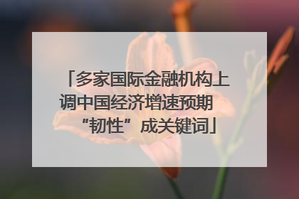 多家国际金融机构上调中国经济增速预期 “韧性”成关键词