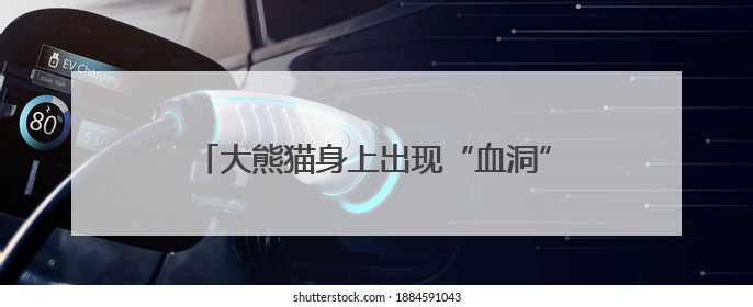 大熊猫身上出现“血洞”？熊猫中心发长文科普