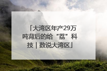 大湾区年产29万吨背后的给“荔”科技｜数说大湾区