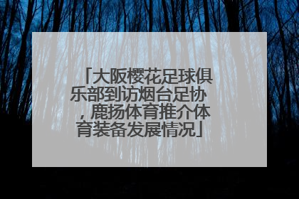 大阪樱花足球俱乐部到访烟台足协，鹿扬体育推介体育装备发展情况
