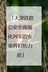 天津铁路公安全面强化列车治安案件打防力度