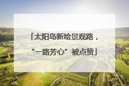 太阳岛新绘景观路，“一路芳心”被点赞