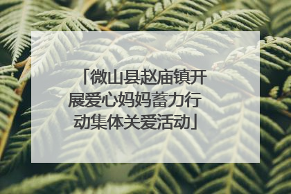 微山县赵庙镇开展爱心妈妈蓄力行动集体关爱活动