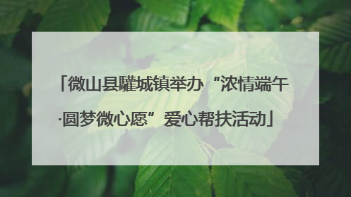 微山县驩城镇举办“浓情端午·圆梦微心愿”爱心帮扶活动