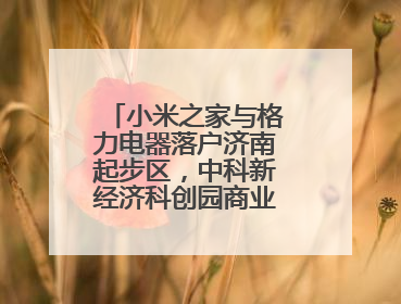 小米之家与格力电器落户济南起步区，中科新经济科创园商业生态升级