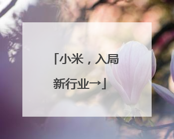 小米，入局新行业→