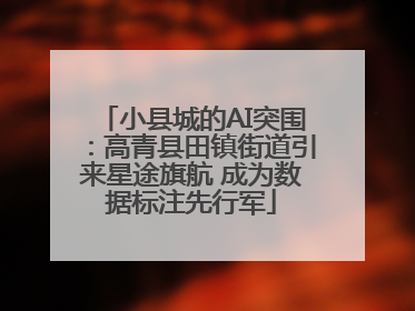 小县城的AI突围：高青县田镇街道引来星途旗航 成为数据标注先行军