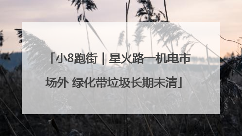小8跑街｜星火路一机电市场外 绿化带垃圾长期未清
