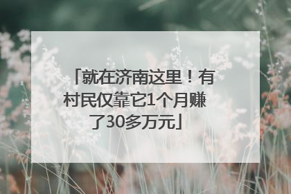 就在济南这里！有村民仅靠它1个月赚了30多万元