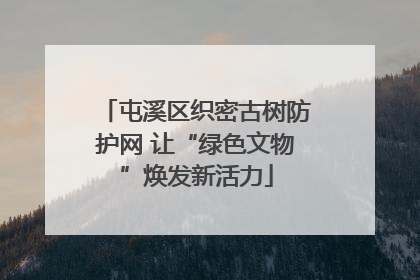 屯溪区织密古树防护网 让“绿色文物”焕发新活力