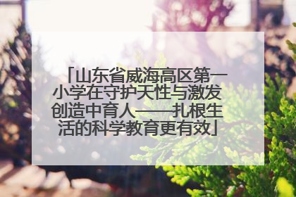山东省威海高区第一小学在守护天性与激发创造中育人——扎根生活的科学教育更有效