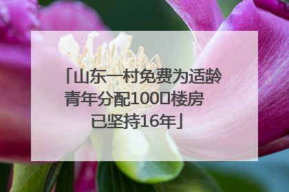 山东一村免费为适龄青年分配100㎡楼房 已坚持16年