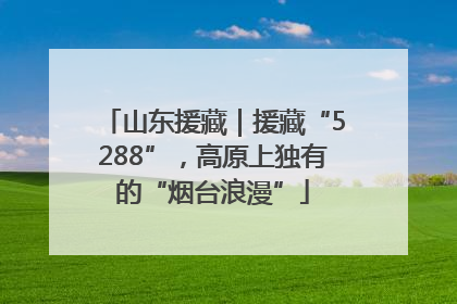 山东援藏｜援藏“5288”，高原上独有的“烟台浪漫”