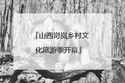 山西岢岚乡村文化旅游季开幕
