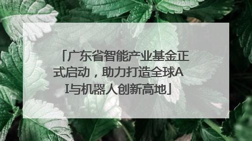 广东省智能产业基金正式启动，助力打造全球AI与机器人创新高地
