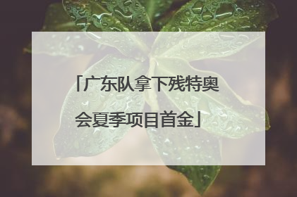 广东队拿下残特奥会夏季项目首金